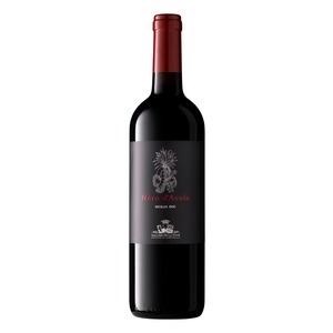 Nero d'Avola Sallier de la Tour DOC Sizilien (solange Vorrat)